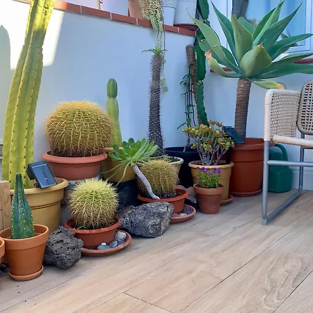 Atico Con Terraza, Vistas Panoramicas Y Parking