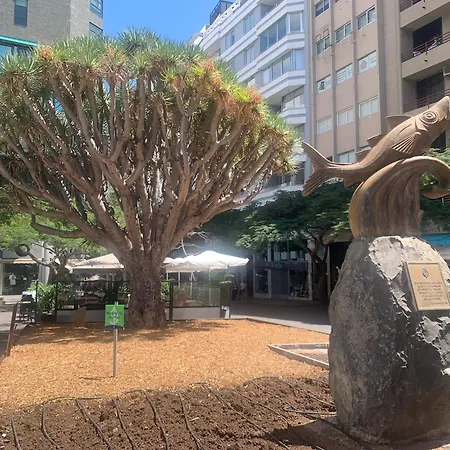 Atico Con Terraza, Vistas Panoramicas Y Parking *