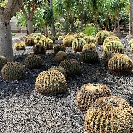 Atico Con Terraza, Vistas Panoramicas Y Parking Lejlighed Santa Cruz de Tenerife