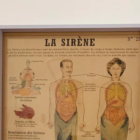 Lejlighed Atico Con Terraza, Vistas Panoramicas Y Parking