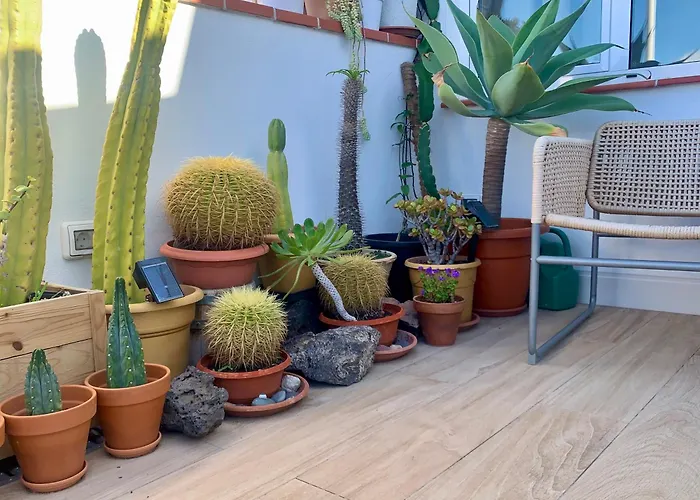 Atico Con Terraza, Vistas Panoramicas Y Parking