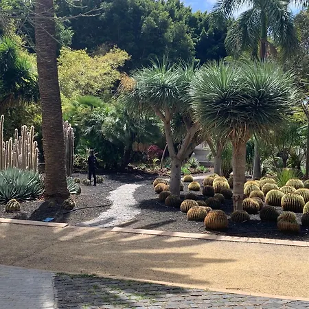 Atico Con Terraza, Vistas Panoramicas Y Parking *