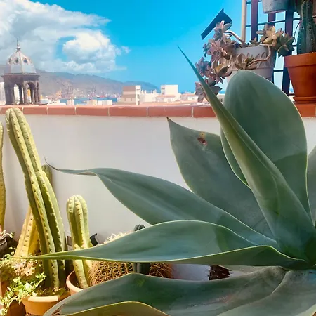 Апартаменты Atico Con Terraza, Vistas Panoramicas Y Parking