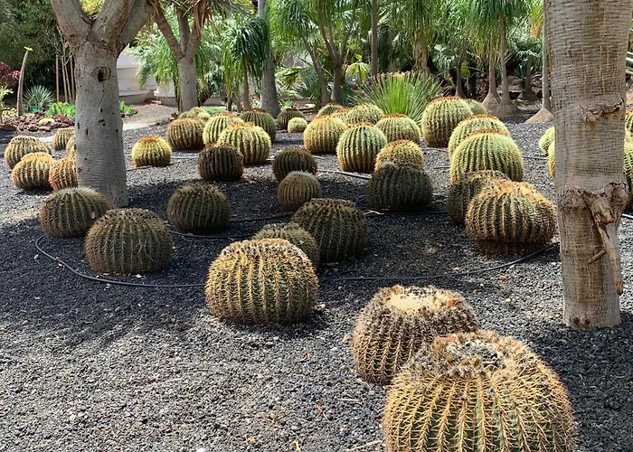 Atico Con Terraza, Vistas Panoramicas Y Parking Lägenhet Santa Cruz de Tenerife