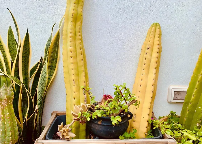 Atico Con Terraza, Vistas Panoramicas Y Parking Апартаменты Санта-Крус-де-Тенерифе